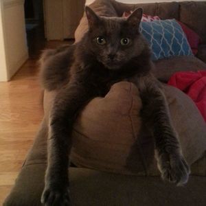 Meet your Posher, Lydia